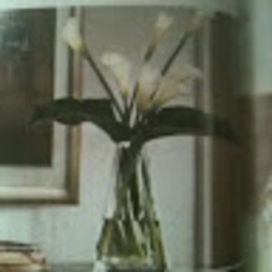 Meet your Posher, Arianna